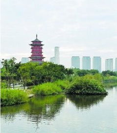 厦门园博苑元旦开园迎客