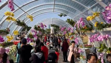 为什么厦门这里能成为新晋网红打卡地,记者探秘.