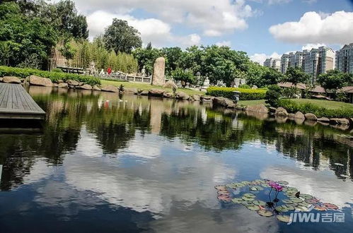 泉州免票政策黄山景区游客爆满,厦门又有什么免费政策呢 公交免费 动态