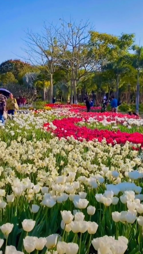 厦门园博苑生态园,旅游的季节又开始了