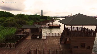 厦门园博苑六一野餐攻略 时间 地点