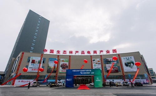 中国生态林产品电商产业园