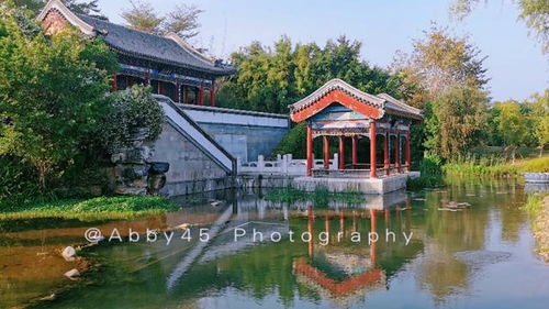 不花钱又想欣赏各地风景,可能吗 这个五一厦门园博苑帮你实现