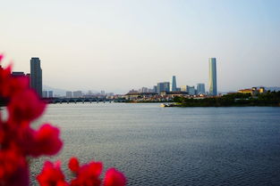 走进2018厦门园博苑的秋天