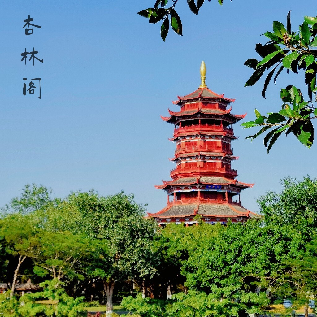 厦门园博苑游.一一续编 - 美篇