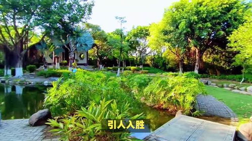 厦门园博苑 谁说城市里没有天堂