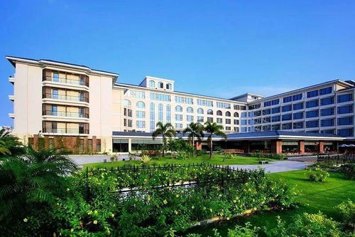 厦门文旅登上央视新闻联播 还有返程高峰 天气 文旅场所相关信息要注意