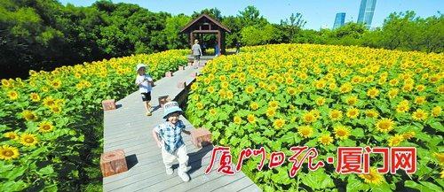 中秋国庆假期临近 厦门园博苑换上 新妆 迎客