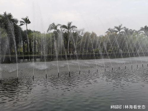 7.厦门园博苑 遭遇风雨 游 被泡汤