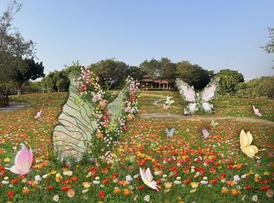 2025厦门园博苑春节花展一览