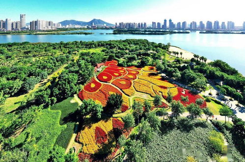 温馨之旅 看见厦门 摄影赛获奖作品欣赏 每一张都可以当壁纸