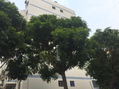 玉鹭苑优点 不足,玉鹭苑怎么样,玉鹭苑周边房产中介经纪人评价
