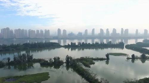 远方,归来 候鸟