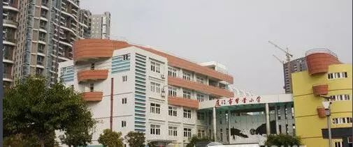 重磅!刚公示!厦门这35所学校被国家点名表扬!看看有你的母校吗?