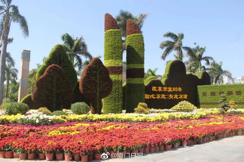 福建最新赏菊攻略在此