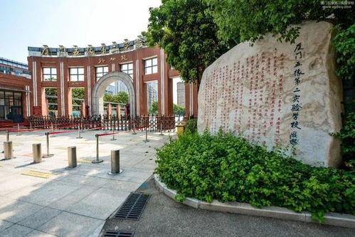 强强联手 厦门又一名校落地,区域价值强势提升
