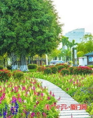 花 式过春节 厦门园博苑推出赏心悦目的新春大餐