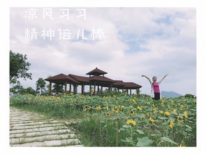 厦门游记--蚂蜂窝