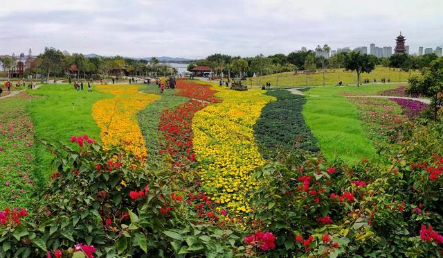踏春赏花最佳处,厦门园博苑 几百个品种、几十万株鲜花正盛开