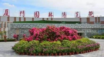 白鹭洲喷泉灯光秀连播4天,一大波花海上线,还有…
