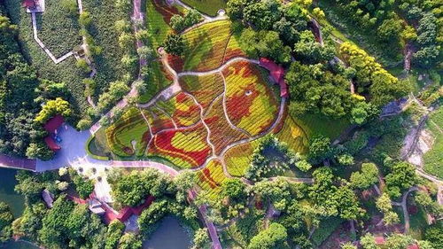 厦门市民对园博苑游玩的一些疑惑,官方的回复来了