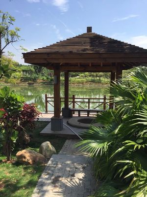 厦门有一个地方可以泡脚温泉,最重要是免费