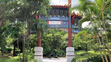 九九重阳节,带上爸妈来园博苑游花海、“森”呼吸.60岁以上免门票!