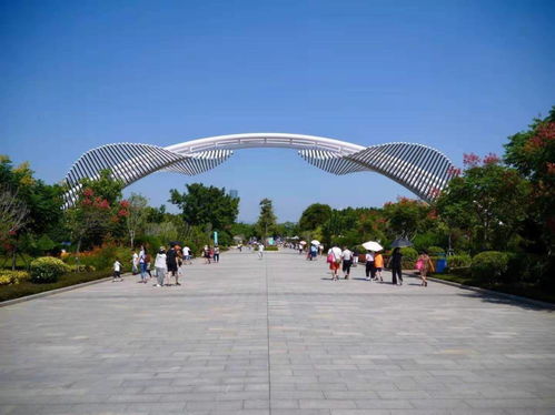 国有a级景区门票五折,公共交通免费,留 厦 过年出岛这样玩