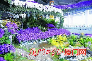 9月26日 10月11日 到厦门园博苑博饼赏花看表演
