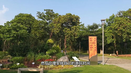 打卡厦门园博苑,恍若走进世外桃源,比很多城市的景区都漂亮