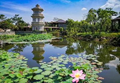 免费门票 | 厦门园博苑荷花花开正盛，赏花正当时！