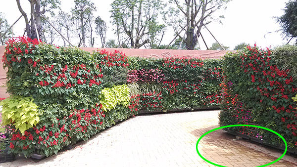 厦门园博苑艺景杯市花展 诗意与芳华的盛宴