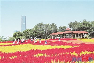 厦门园博苑重新开放，市民畅游春景迎新生机