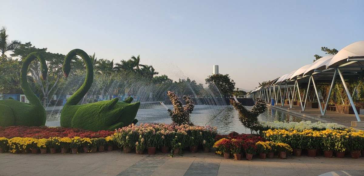 赏菊厦门园美苑，秋色如画醉游人——记厦门园博苑菊花展