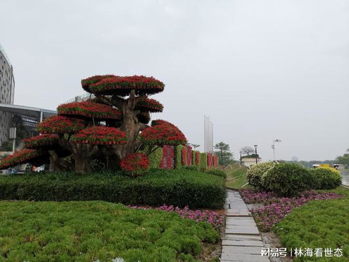 厦门园博苑风雨突袭，游客行程泡汤