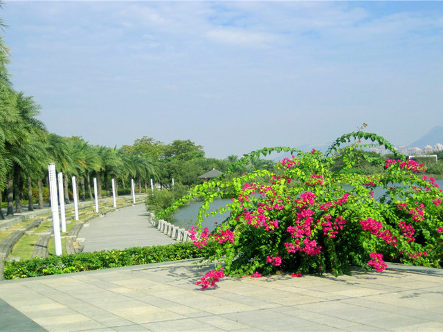 探访厦门周边宝藏 园博苑的魅力之旅