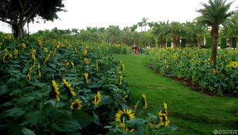 厦门园博苑随拍 邻里共享的自然与文化盛宴