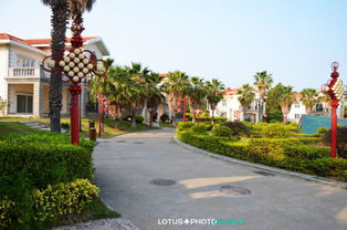 厦门攻略 那一片海，那一片城——漫步园博苑，尽览园林之美