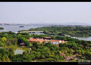 俯瞰厦门园博苑 一幅山海间的园林长卷