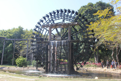 2016猴年初一 厦门园博苑的春意与年味