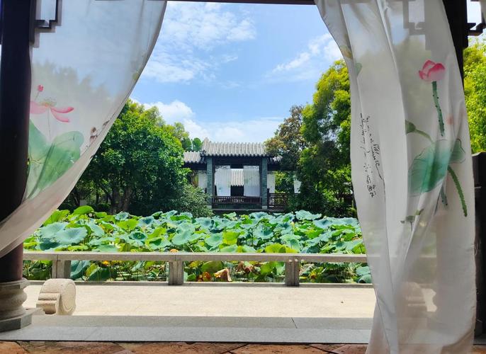 厦门园博苑，探秘园林之旅